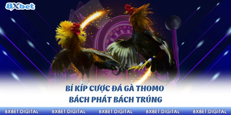 Đá gà Thomo 8xbet Đá gà Thomo 8xbet