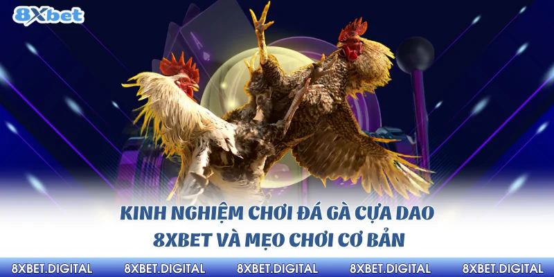 Đá Gà cựa Dao 8xbet Kinh nghiệm chơi đá gà cựa dao 8Xbet và mẹo chơi cơ bản