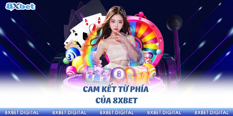 Cam kết từ phía của 8xbet