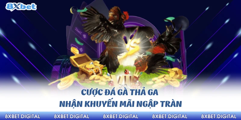 Đá Gà 8xbet Đá Gà 8xbet