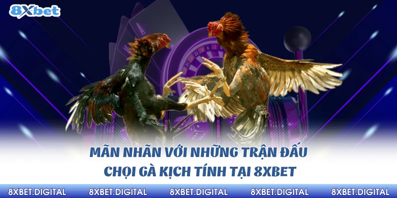 Đá Gà 8xbet Đá Gà 8xbet